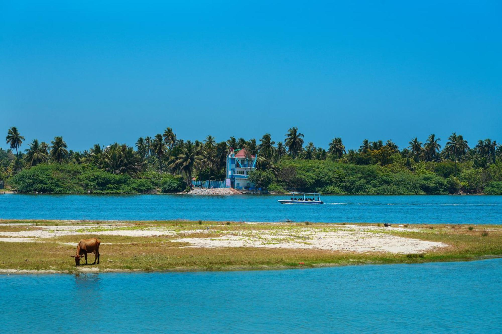 Victoria'S River View Resort بونديتْشيري المظهر الخارجي الصورة